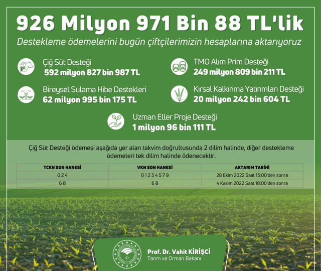 Bakan müjdeyi duyurdu! Paralar bugün hesapta: Ödeme detayları belli oldu! - Resim: 0
