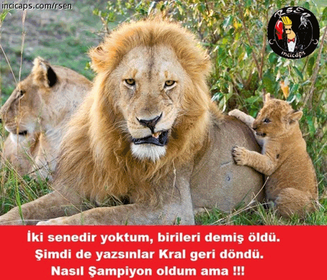 Galatasaray şampiyon oldu capsler patladı - Resim: 1