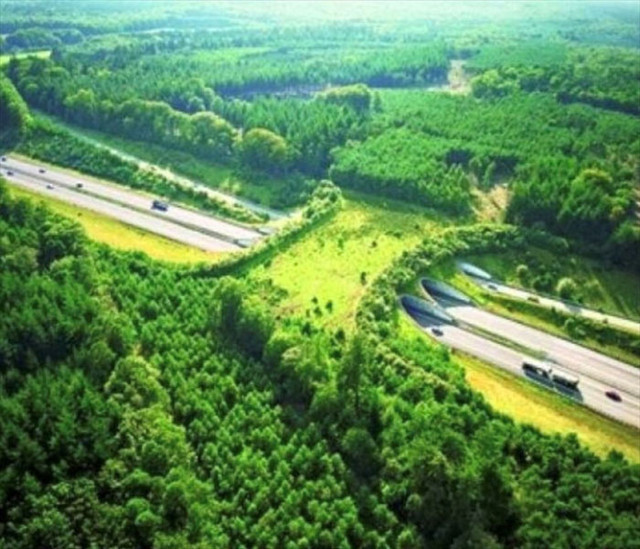 Çevre ve Şehircilik Bakanı Murat Kurum açıkladı 22 ilde ekolojik koridor oluşturulacak - Resim: 1