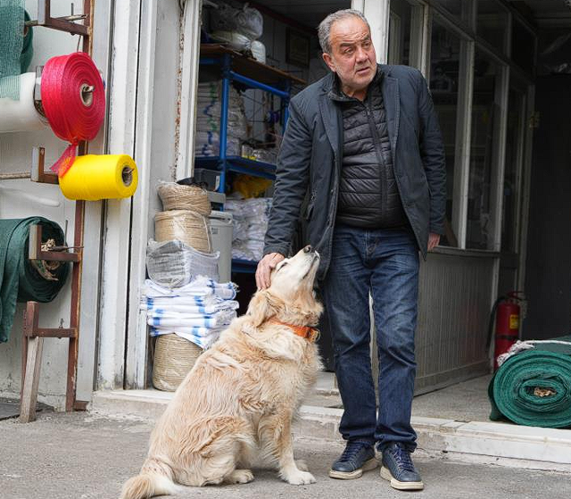Köpeğin doktora havlaması sahibine 700 bin TL'ye patladı - Resim: 0