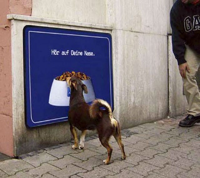 Talihsizliği sizi çok şaşırtacak bu kadar da olmaz diyeceksiniz - Resim: 1