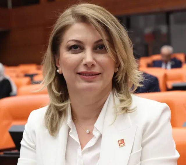 CHP'li Asu Kaya için çirkin mesaj! İYİ Parti vekili Hasan Toktaş yazdı dediler ama... - Resim: 0