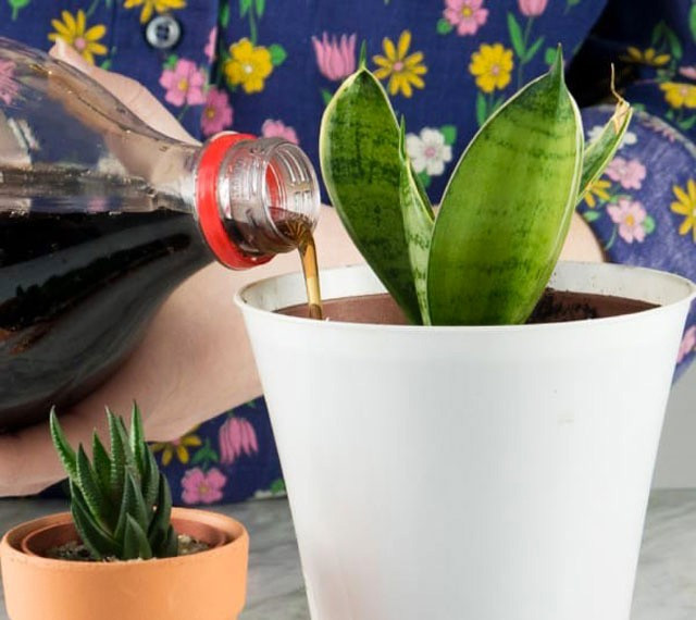 Kolayı alın ve tuvalete dökün bakın neler olacak - Resim: 2