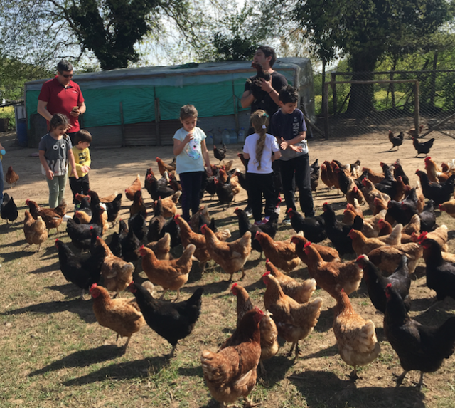 Çocuklar doğada daha mutlu - Resim: 1