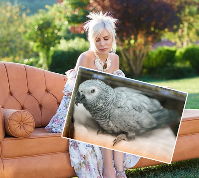 Ömür Gedik papağan Bahtiyar'ın acı haberini böyle verdi!  - Resim: 1