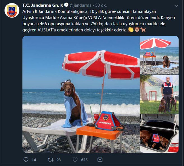 Artvin'de 10 yıllık görev süresini doldurdu! 'Vuslat' emekli oldu - Resim: 1