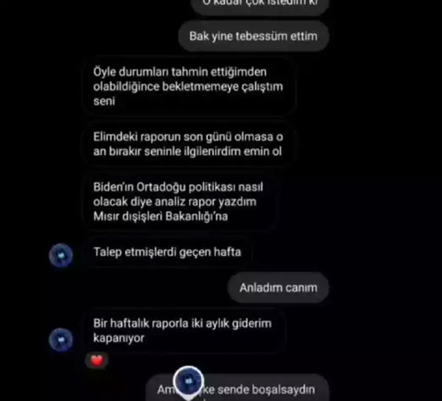 FETÖ'nün Fuat Avni'si Said Sefa'nın gizli yazışmaları ifşa oldu o ülkelere rapor yazmış - Resim: 0