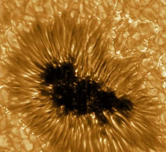 Güneş'in manyetik alanı yüksek çözünürlükte kayda alındı - Resim: 0