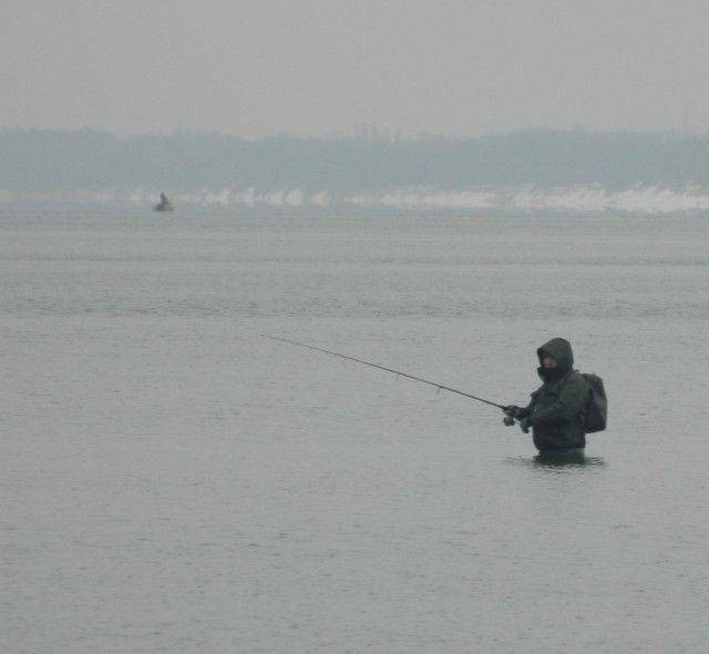 Günün en beğenilen 50 fotoğrafı - Resim: 2