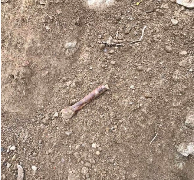 İnşaat kazısında kafatası ve insan kemikleri bulundu! - Resim: 0