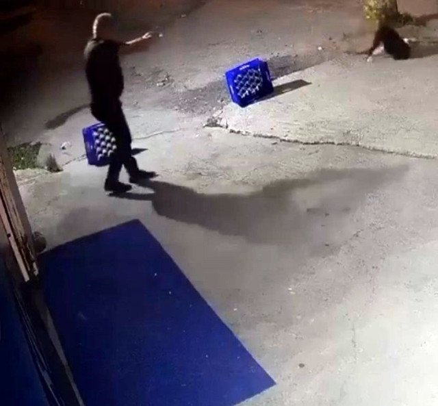 Sakarya’da dehşete düşüren görüntüler! Ağaca bağlı köpeğe bir şarjör mermi boşalttı: Nedeni ise... - Resim: 3