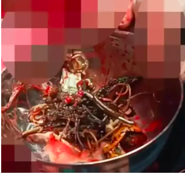 Midesinde çıkanlarla sergi açılır! Öyle şeyler çıktı ki Doktorlar bile şaştı kaldı - Resim: 2