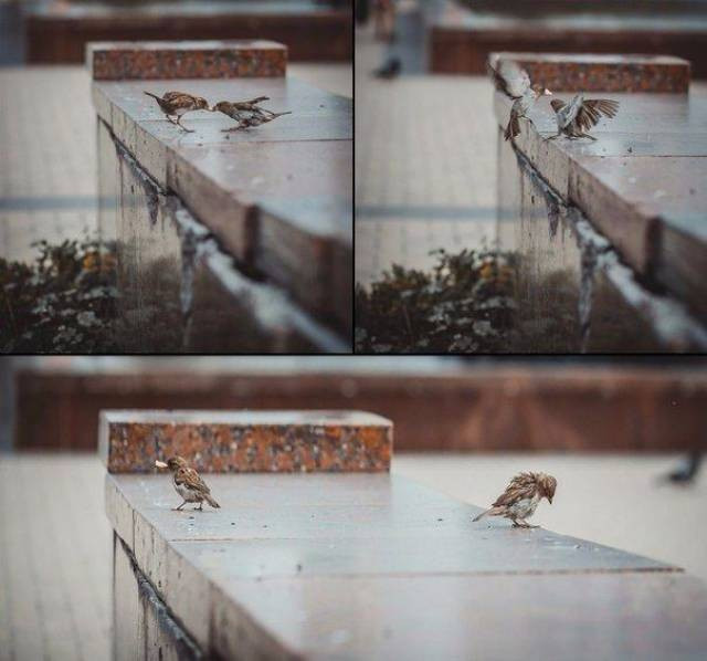 Günün gülümseten fotoğrafları - Resim: 1