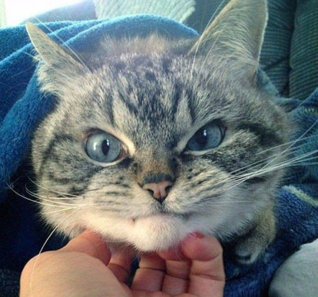 Günün en ilginç 40 fotoğrafı - Resim: 4