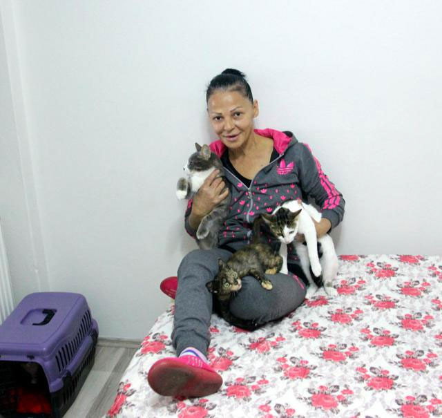 Kedileri yüzünden genelevden kovuldu! Şimdi de rahat yok... - Resim: 3