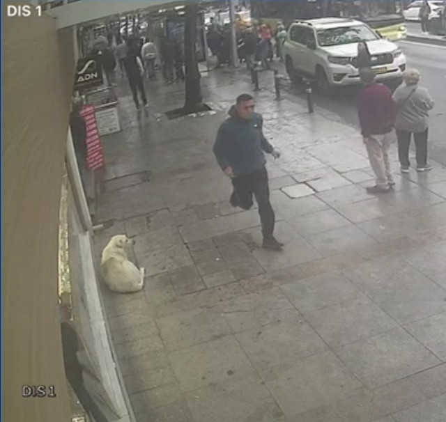 İstanbul'da ev sahibi dehşet saçtı! Zammı kabul etmeyen kiracısının kanını akıttı - Resim: 1