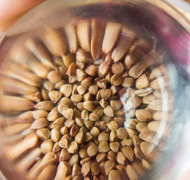 Karabuğday tok tutarak kilo verdiriyor - Resim: 4