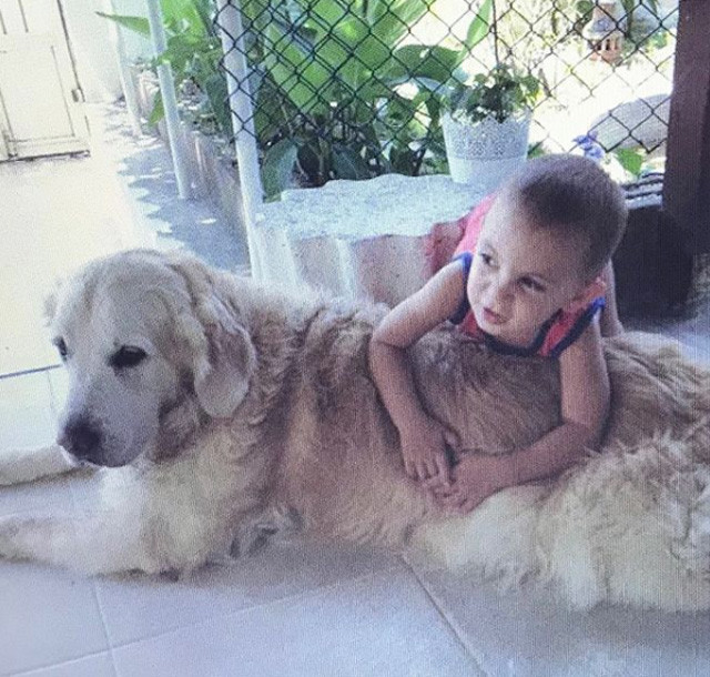 Özge Borak'ı kahreden ölüm - Resim: 3