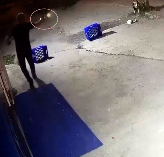 Sakarya’da dehşete düşüren görüntüler! Ağaca bağlı köpeğe bir şarjör mermi boşalttı: Nedeni ise... - Resim: 1