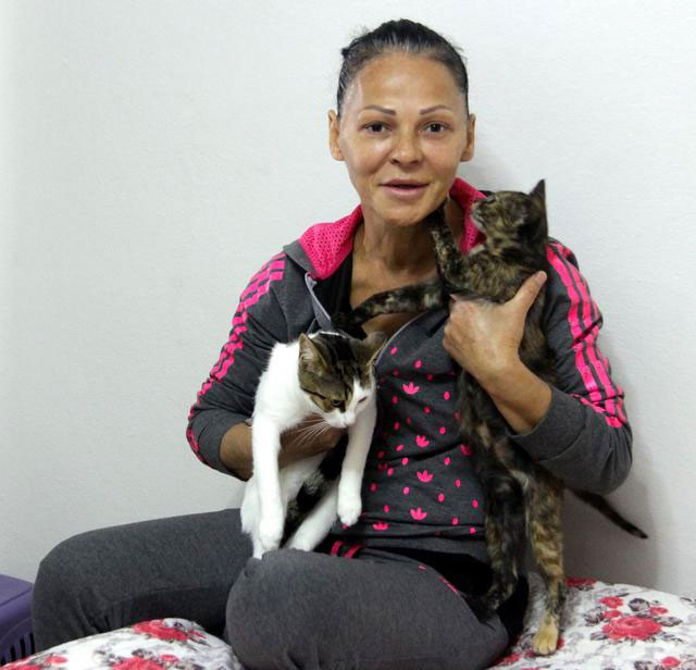 Kedileri yüzünden genelevden kovuldu! Şimdi de rahat yok... - Resim: 2