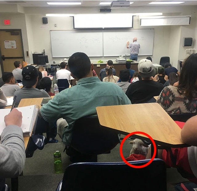 Fotoğraftaki ayrıntıya dikkat! Çok şaşıracaksınız - Resim: 4