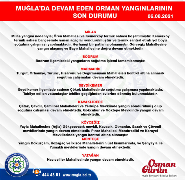 Bodrum, Marmaris, Köyceğiz, Milas yangınlarında son durum Bakan Pakdemirli güzel haberi duyurdu - Resim: 0