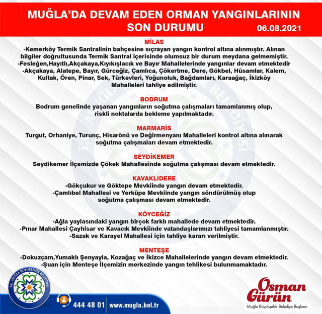 Bodrum, Marmaris, Köyceğiz, Milas yangınlarında son durum Bakan Pakdemirli güzel haberi duyurdu - Resim: 2
