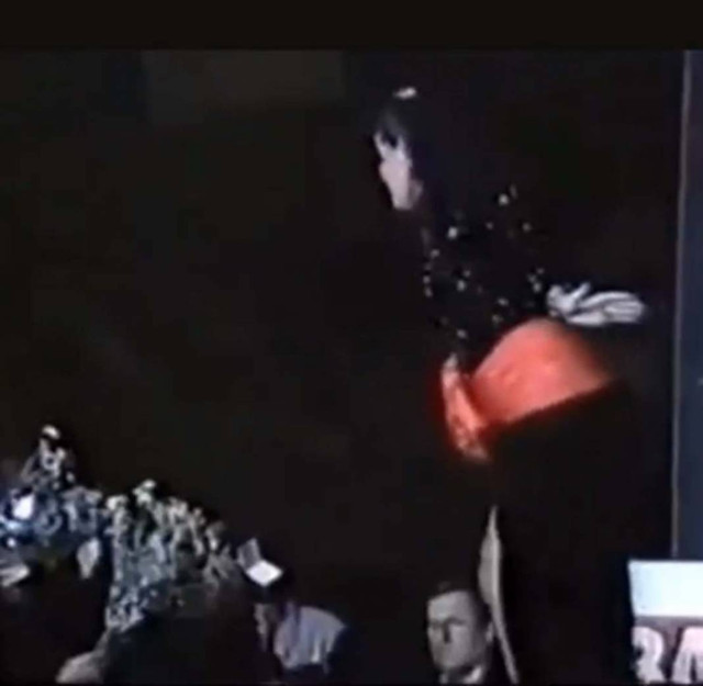 Bülent Ersoy'a seyirci şoku! Hayranının sahneye atlayıp dudağından öptüğü görüntülerle gündeme düştü - Resim: 0