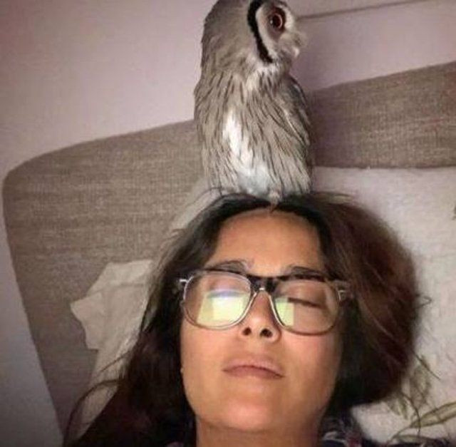 Ünlü oyuncu'dan olay itiraf: Kocam evde değilken onunla yatıyorum! - Resim: 1