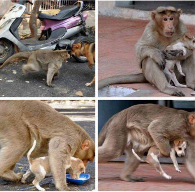 Günün en çok paylaşılan 55 fotoğrafı - Resim: 1