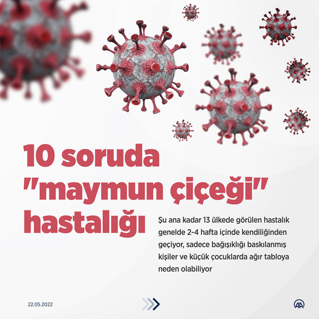 Dünya Sağlık Örgütü açıkladı! Maymun çiçeği vaka sayısı yükseldi Kovid gibi salgına neden olur mu? - Resim: 0