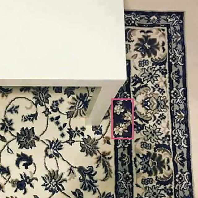 100 kişiden sadece 1'i hemen buldu! Halının üzerindeki telefonu bulabildiniz mi? - Resim: 2