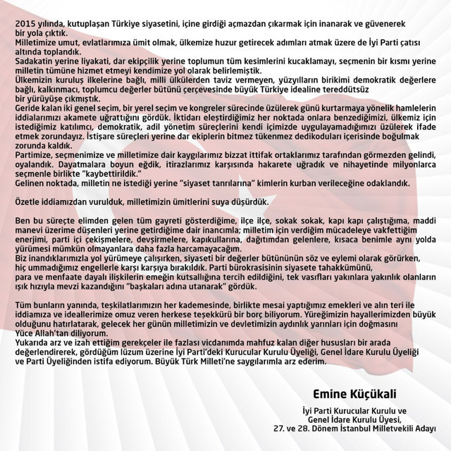 İYİ Parti'de istifa depremi! Kurucu ve GİK üyesi Emine Küçükali Meral Akşener'i topa tuttu - Resim: 0