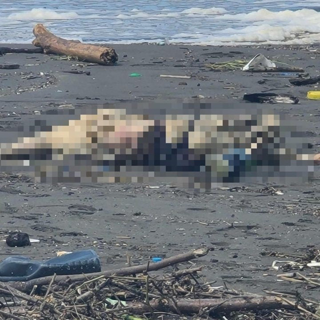 Ordu'da kaybolan şahsın cesedi Batum'da bulundu - Resim: 0