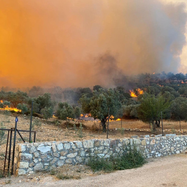 İzmir Foça'daki orman yangını devam ediyor 20 ev tahliye edildi - Resim: 2