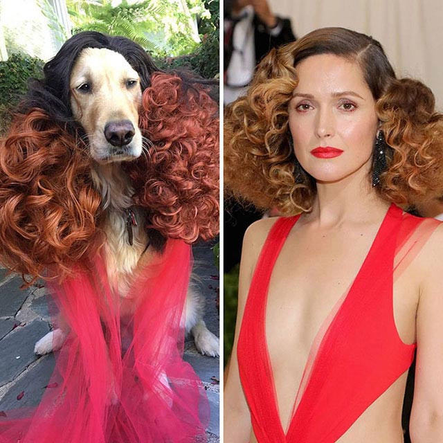 Tuvalette çırıl çıplak poz verdi sosyal medyayı yıktı bakın neden - Resim: 3