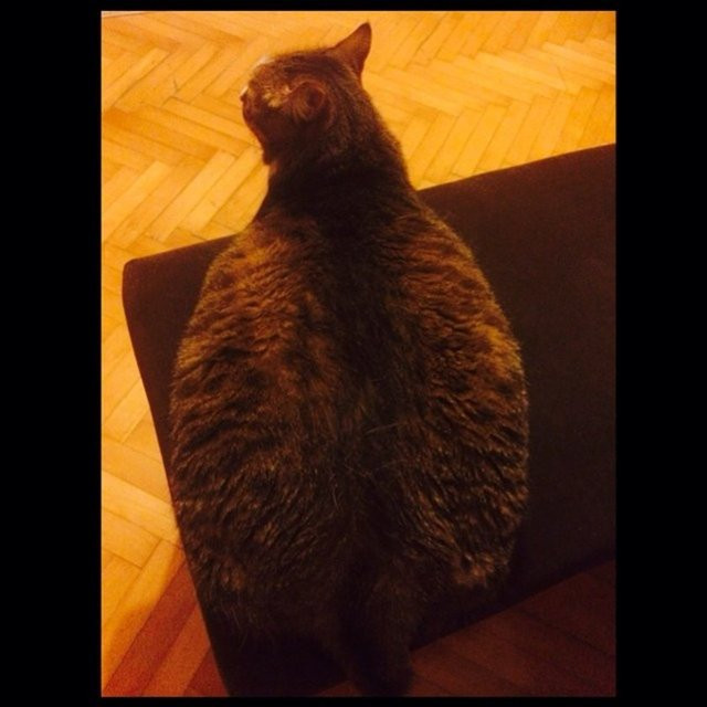 ''Bugünden bir foto paylaşalım :)'' - Resim: 4