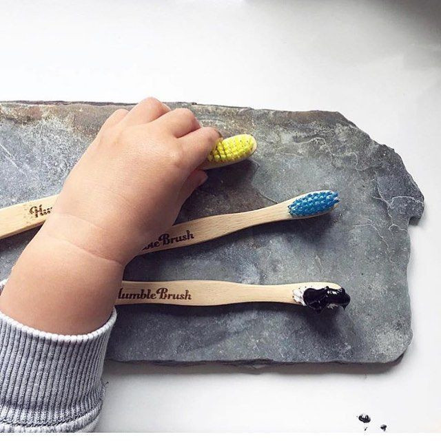 Diş fırçanızda dışkı olabilir - Resim: 1