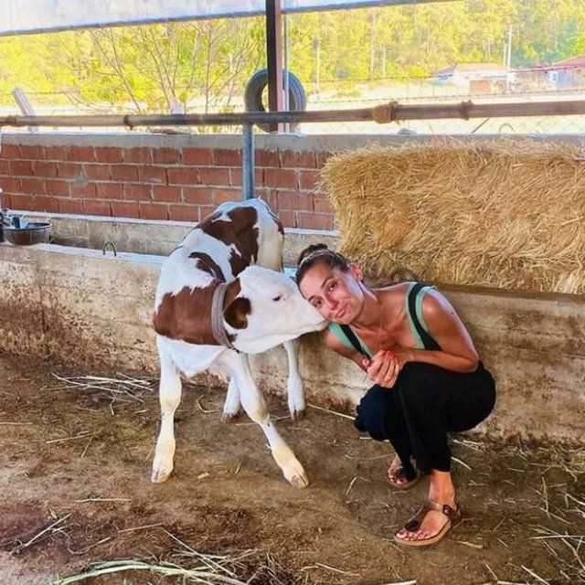 Sedef Avcı ve Kıvanç Kasabalı boşanıyor mu? Suskunluklarını bozdular - Resim: 2