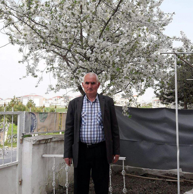 Tekirdağ'da erik topladığı ağaçtan düşüp öldü - Resim: 0