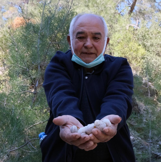 Muğla'da köylüler yıllardır 'intihar deresi'nin sırrını çözemiyor - Resim: 2