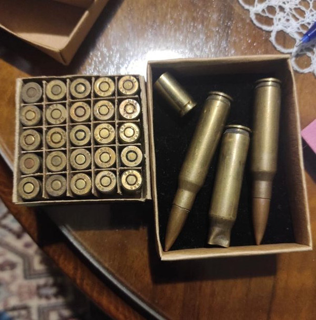 TSK'ya 'kimyasal silah' iftirası atan Şebnem Korur Fincancı gözaltına alındı - Resim: 0