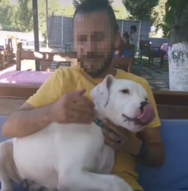 O köpeğin sahibine 2 yıl sonra büyük şok! 'Hapis' talebiyle dava açıldı - Resim: 1