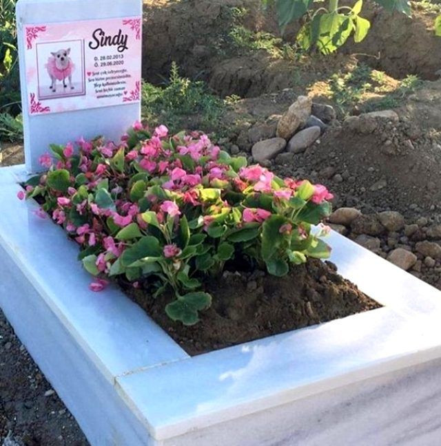 Ciciş Kardeşler Esra ve Ceyda köpekleri için yaptırdıkları mezarla herkesi şoke etti - Resim: 2