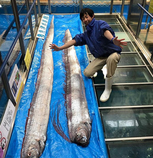 Bu görüntüler ülkeyi ayağa kaldırdı! 2011 felaketine işaret ediyor - Resim: 4