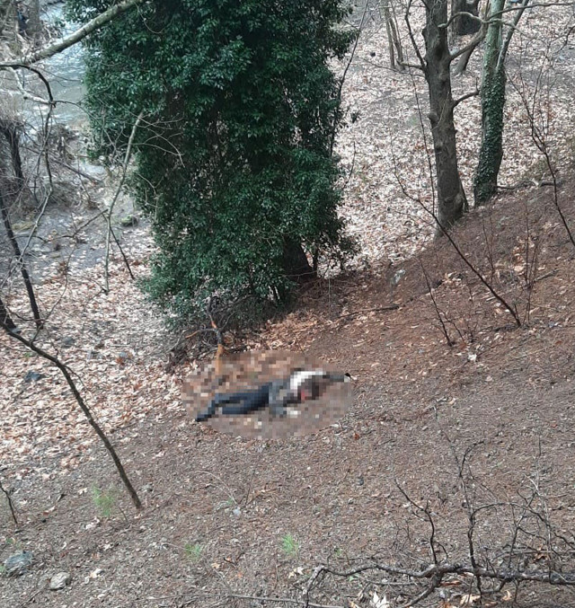 Adana'da kuma almak istediği kuzenini öldürdü: Beni öldürme diye yalvardı - Resim: 0