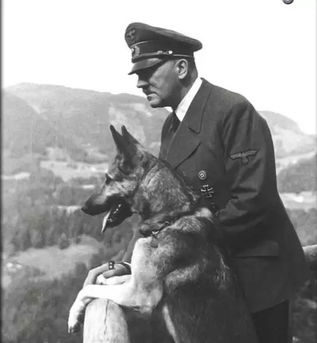 Atanan il başkanı Devlet Bahçeli'ye 'Hitler' montajlı Atatürk portresi hediye etti! - Resim: 1