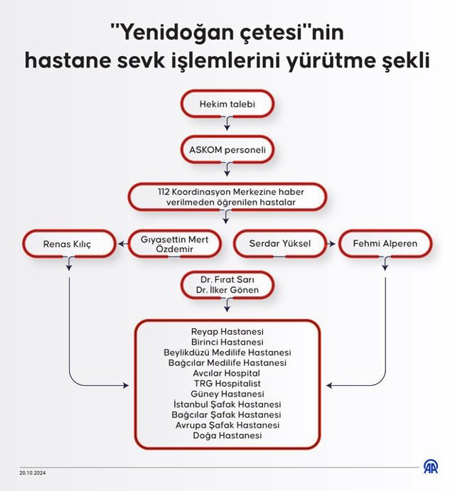 "Yenidoğan çetesi"nin örgütsel şeması ortaya çıkarıldı - Resim: 0