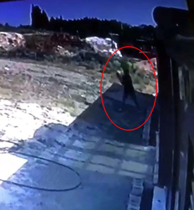 İzmir'de darp iddiasında karşı taraf konuştu: Olay kedi-köpek kavgasından ibaret değil - Resim: 3