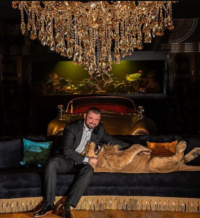 Sesi duyan ihbar etti! 'Çerkes Cengiz'in aslanı ekipleri harekete geçirdi: İlaçlı ok ile etkisiz hale getirildi! - Resim: 0